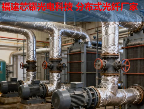 分布式光纖技術如何應用于英語教學？跨學科融合的無限可能。