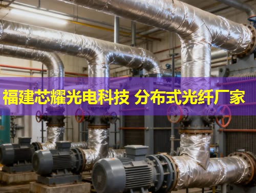 光纖分布式測(cè)溫裝置：精準(zhǔn)監(jiān)控，安全無憂的溫度守護(hù)者