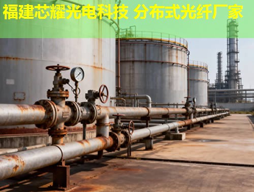 常熟地區(qū)光纖溫度監(jiān)測(cè)技術(shù)引領(lǐng)行業(yè)前沿，分布式系統(tǒng)保障安全穩(wěn)定運(yùn)行