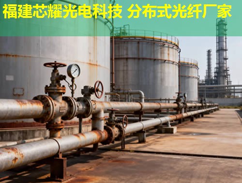 2026年分布式測(cè)溫光纖定點(diǎn)技術(shù)排行推薦