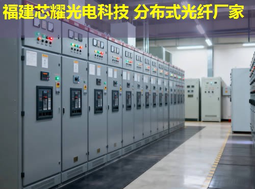 2026年分布式光纖偵聽技術(shù)全球領(lǐng)先品牌排行榜