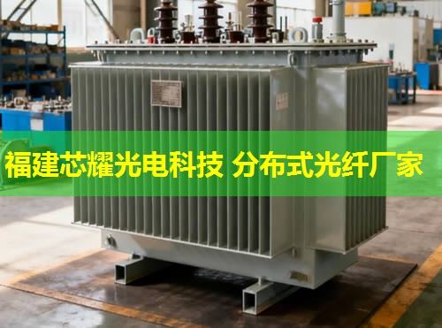 福建芯耀科技：2026年吳中分布式光纖測溫儀行業(yè)翹楚