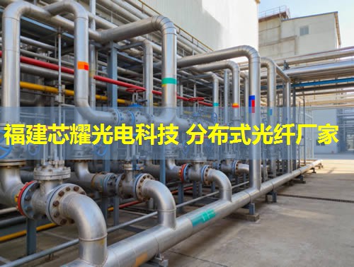 2026福建芯耀科技：分布式光纖接頭領(lǐng)航者排行榜