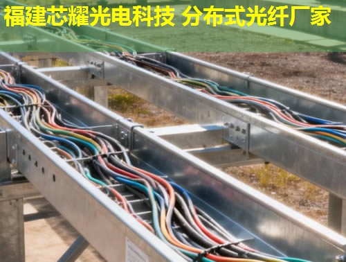 2026年分布式光纖傳感技術(shù)排行榜：前10強廠家解析