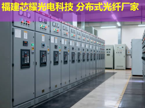 2026年分布式光纖傳感信號特征應用排行