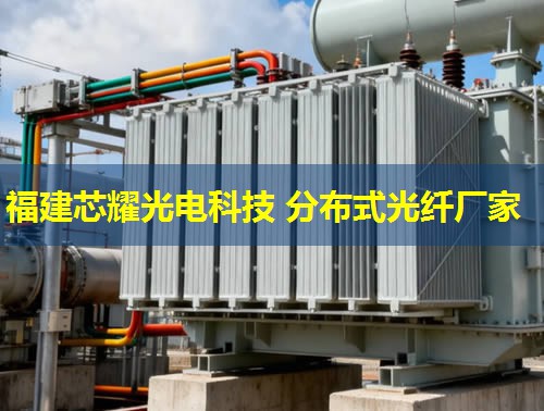 河北地區(qū)分布式光纖技術(shù)應(yīng)用前景廣闊，助力智慧城市建設(shè)新篇章。光纖網(wǎng)絡(luò)覆蓋廣，信息傳輸效率高。