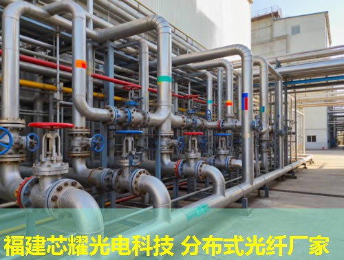 西藏智能測溫光纖技術引領，福建芯耀光電助力精準防控